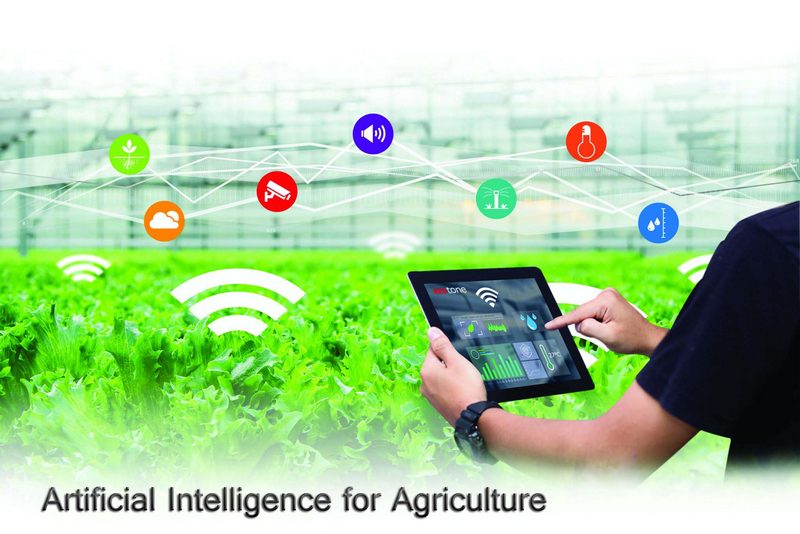 Read more about the article 8 ways AI benefits the agricultural sector