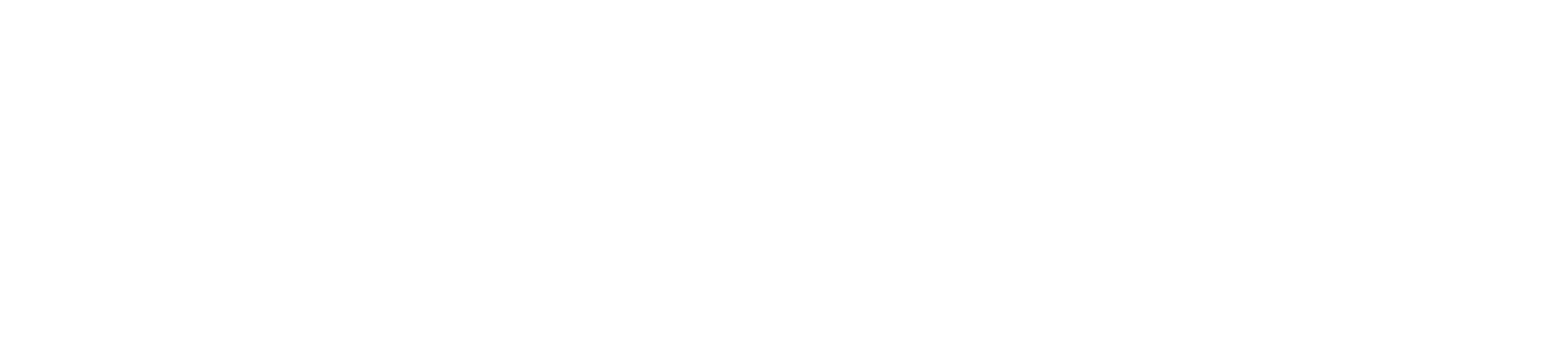 applydataai-logo-white-transparent